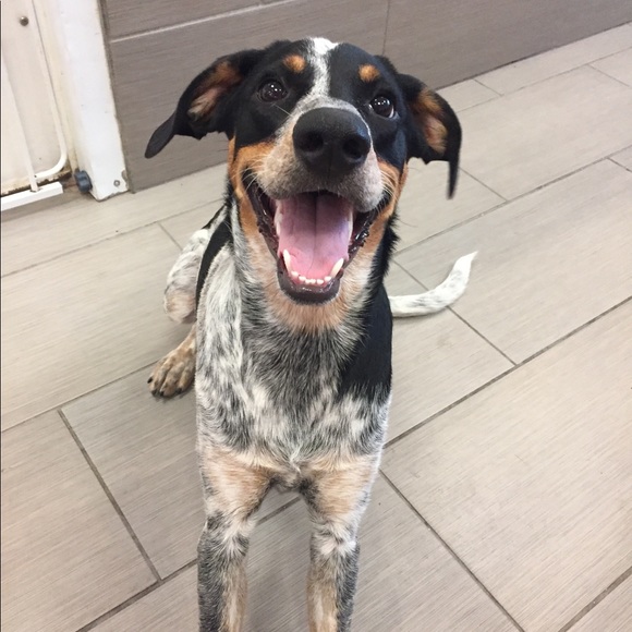 Meet your Posher, Eamon - Picture 1 of 1